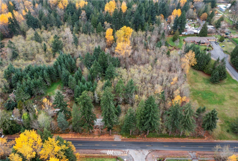 21938 62nd, Spanaway, Washington 98387, ,Land,For Sale,62nd,NWM1865614