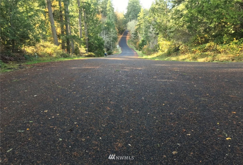 6614 Yeazell, Longbranch, Washington 98351, ,Land,For Sale,Yeazell,NWM1865374