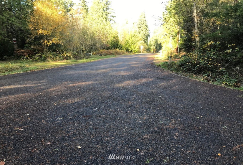 6614 Yeazell, Longbranch, Washington 98351, ,Land,For Sale,Yeazell,NWM1865374