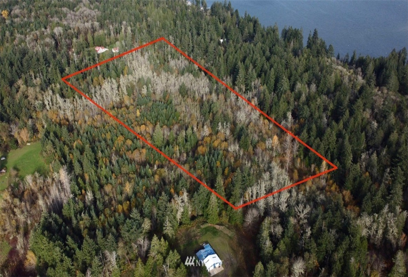 6614 Yeazell, Longbranch, Washington 98351, ,Land,For Sale,Yeazell,NWM1865374