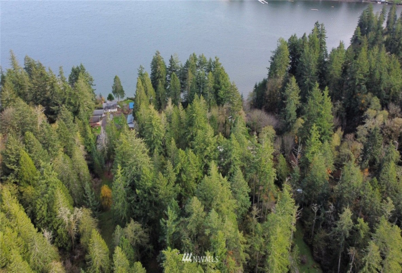 6614 Yeazell, Longbranch, Washington 98351, ,Land,For Sale,Yeazell,NWM1865374