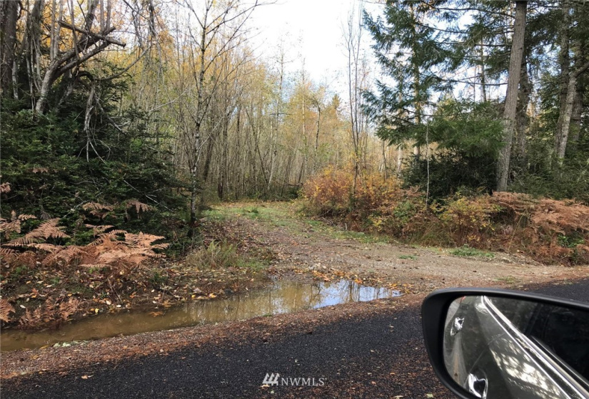 6614 Yeazell, Longbranch, Washington 98351, ,Land,For Sale,Yeazell,NWM1865374