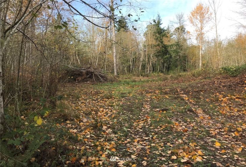 6614 Yeazell, Longbranch, Washington 98351, ,Land,For Sale,Yeazell,NWM1865374