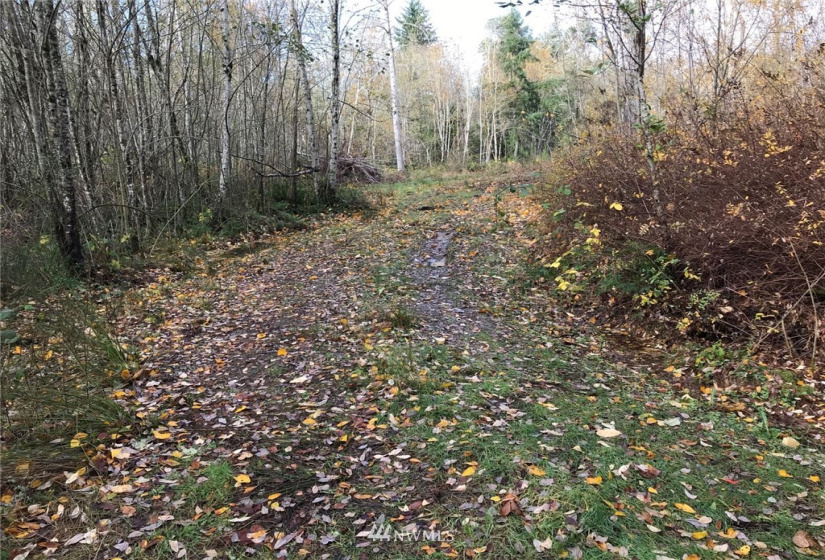 6614 Yeazell, Longbranch, Washington 98351, ,Land,For Sale,Yeazell,NWM1865374