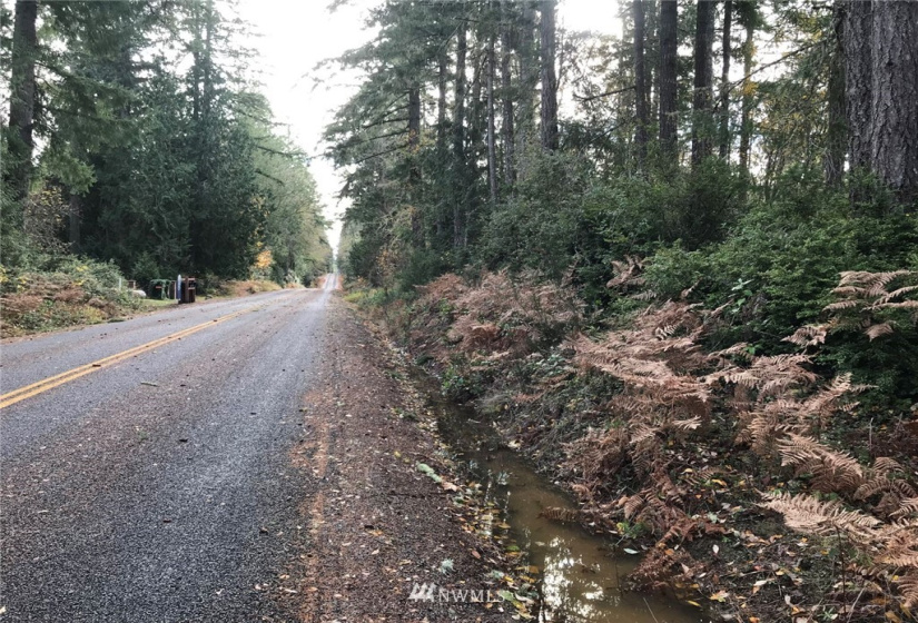 6614 Yeazell, Longbranch, Washington 98351, ,Land,For Sale,Yeazell,NWM1865374