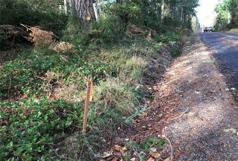 6614 Yeazell, Longbranch, Washington 98351, ,Land,For Sale,Yeazell,NWM1865374
