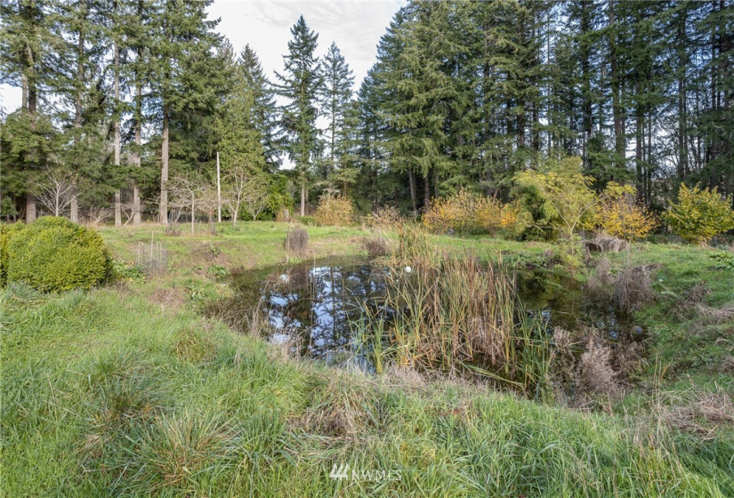 2547 Overhulse, Olympia, Washington 98502, 1 Bedroom Bedrooms, ,1 BathroomBathrooms,Residential,For Sale,Overhulse,NWM1865416