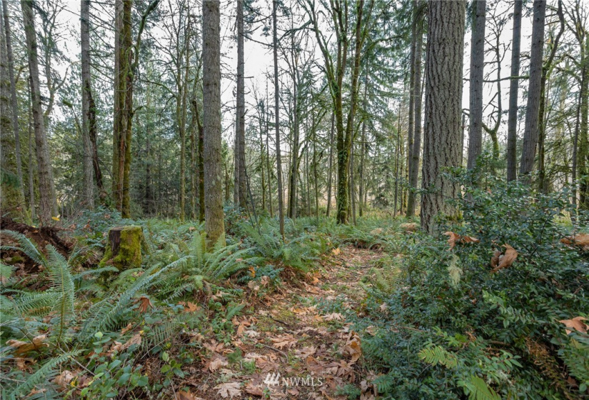 2547 Overhulse, Olympia, Washington 98502, 1 Bedroom Bedrooms, ,1 BathroomBathrooms,Residential,For Sale,Overhulse,NWM1865416