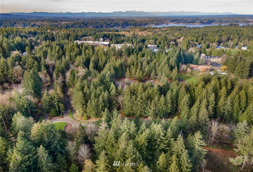2547 Overhulse, Olympia, Washington 98502, 1 Bedroom Bedrooms, ,1 BathroomBathrooms,Residential,For Sale,Overhulse,NWM1865416