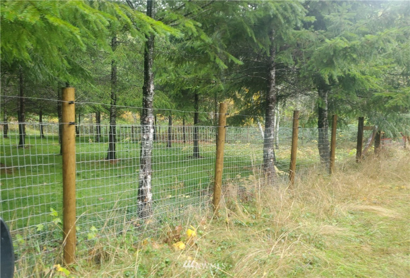 61 Schafer Grade, Montesano, Washington 98563, 3 Bedrooms Bedrooms, ,2 BathroomsBathrooms,Farm,For Sale,Schafer Grade,NWM1862541