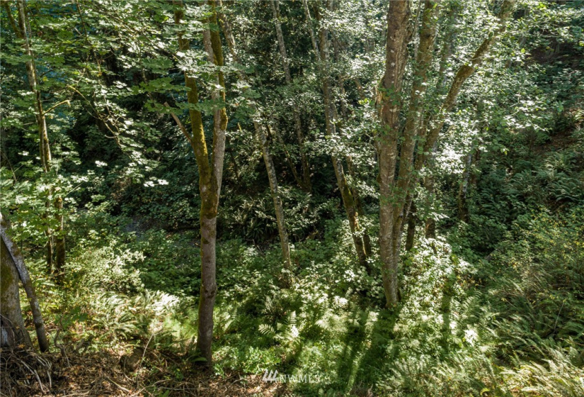1718 3RD, Sequim, Washington 98382, ,Land,For Sale,3RD,NWM1866432