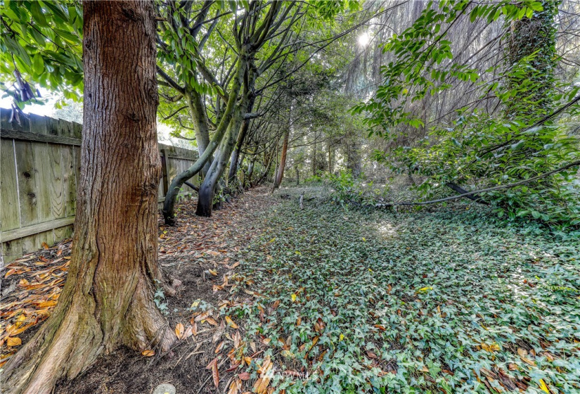 27560 Anchor, Poulsbo, Washington 98370, 2 Bedrooms Bedrooms, ,1 BathroomBathrooms,Residential,For Sale,Anchor,NWM1866364