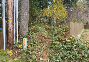 2313 197th, Lakebay, Washington 98349, ,Land,For Sale,197th,NWM1865444