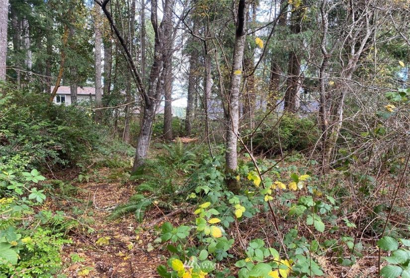 2313 197th, Lakebay, Washington 98349, ,Land,For Sale,197th,NWM1865444