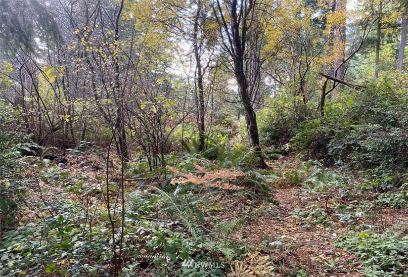 2313 197th, Lakebay, Washington 98349, ,Land,For Sale,197th,NWM1865444