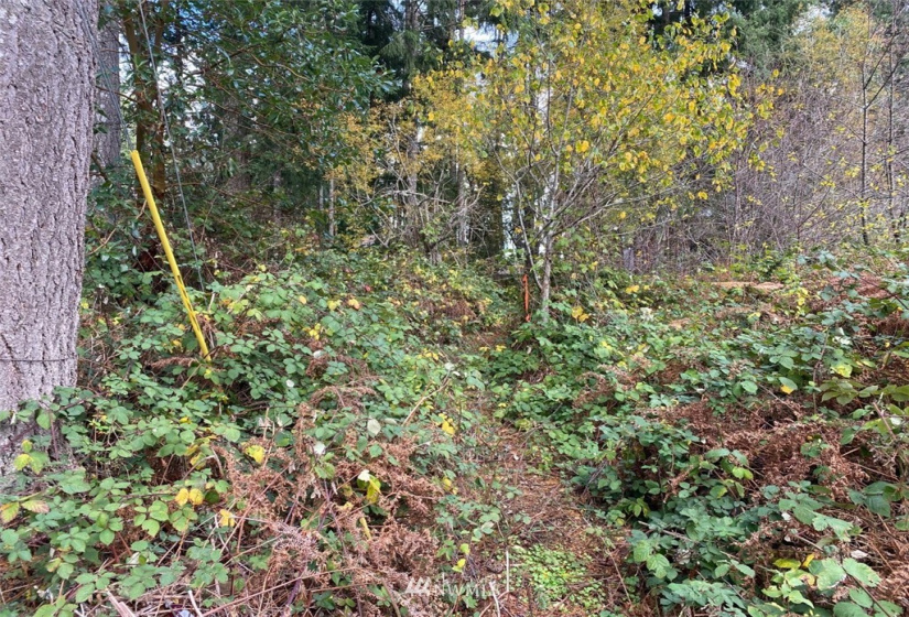 2313 197th, Lakebay, Washington 98349, ,Land,For Sale,197th,NWM1865444