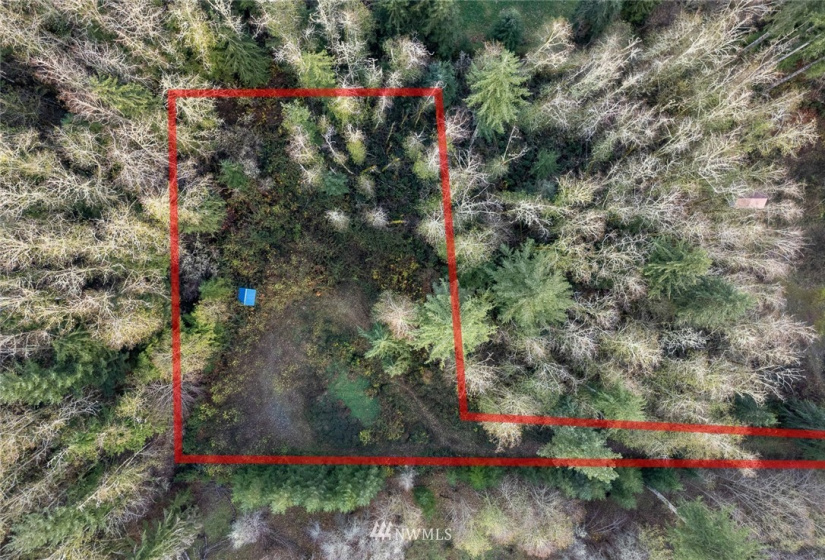 0 Justus, Onalaska, Washington 98570, ,Land,For Sale,Justus,NWM1866479