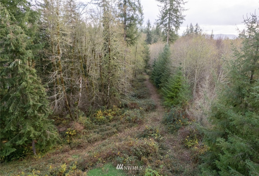 0 Justus, Onalaska, Washington 98570, ,Land,For Sale,Justus,NWM1866479