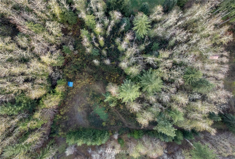 0 Justus, Onalaska, Washington 98570, ,Land,For Sale,Justus,NWM1866479