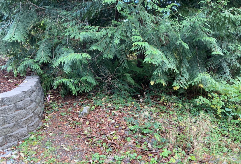 300 Highland, Port Ludlow, Washington 98365, ,Land,For Sale,South Bay # 1,Highland,NWM1866564