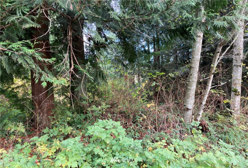 300 Highland, Port Ludlow, Washington 98365, ,Land,For Sale,South Bay # 1,Highland,NWM1866564