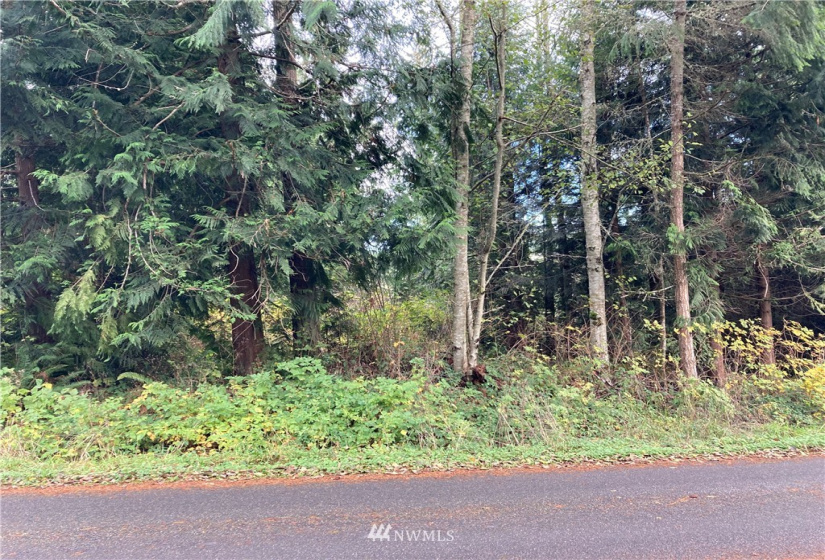 300 Highland, Port Ludlow, Washington 98365, ,Land,For Sale,South Bay # 1,Highland,NWM1866564