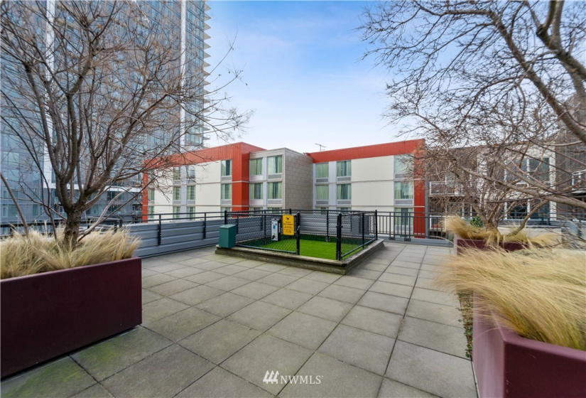 699 John, Seattle, Washington 98109, 1 Bedroom Bedrooms, ,1 BathroomBathrooms,Residential,For Sale,Marselle,John,NWM1866687