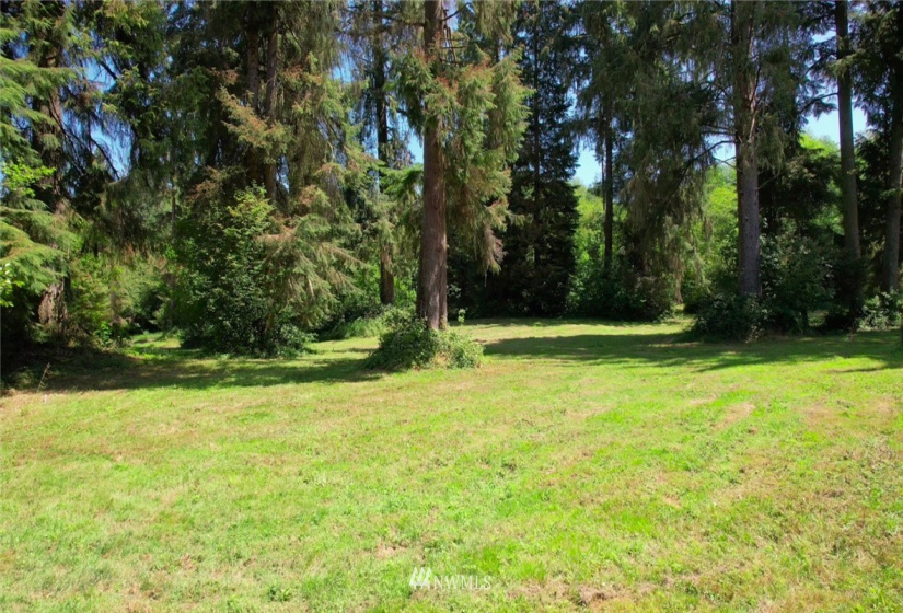 23 Spruce, Cathlamet, Washington 98612, ,Land,For Sale,Spruce,NWM1866689