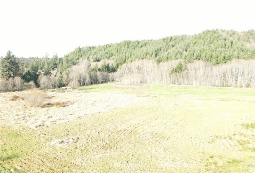181 Oneill, Elma, Washington 98541, ,Land,For Sale,Oneill,NWM1866686
