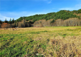 181 Oneill, Elma, Washington 98541, ,Land,For Sale,Oneill,NWM1866686