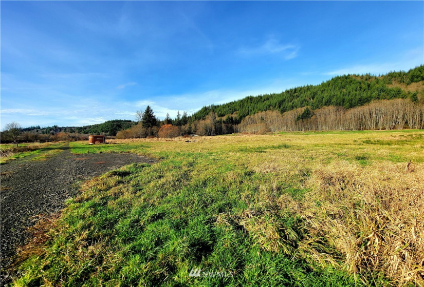 181 Oneill, Elma, Washington 98541, ,Land,For Sale,Oneill,NWM1866686