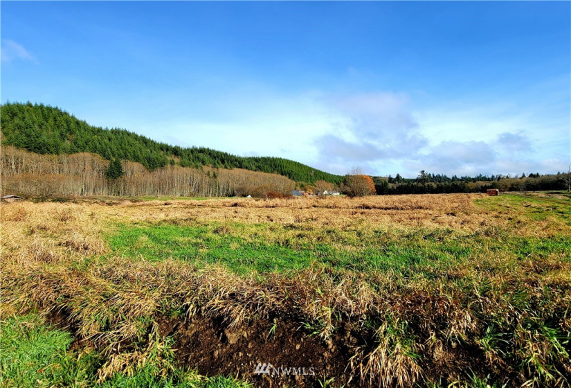 181 Oneill, Elma, Washington 98541, ,Land,For Sale,Oneill,NWM1866686