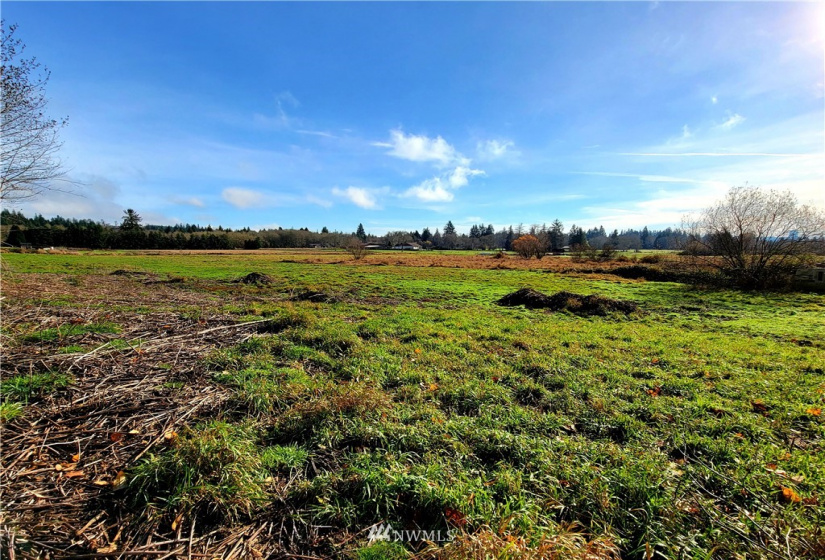181 Oneill, Elma, Washington 98541, ,Land,For Sale,Oneill,NWM1866686