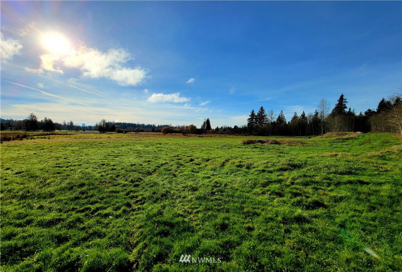 181 Oneill, Elma, Washington 98541, ,Land,For Sale,Oneill,NWM1866686