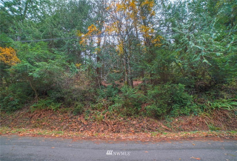 0 Wavecrest, Poulsbo, Washington 98370, ,Land,For Sale,Wavecrest,NWM1863954