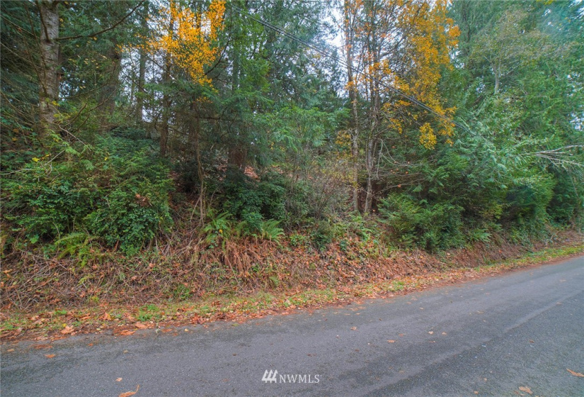 0 Wavecrest, Poulsbo, Washington 98370, ,Land,For Sale,Wavecrest,NWM1863954