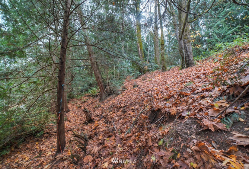 0 Wavecrest, Poulsbo, Washington 98370, ,Land,For Sale,Wavecrest,NWM1863954