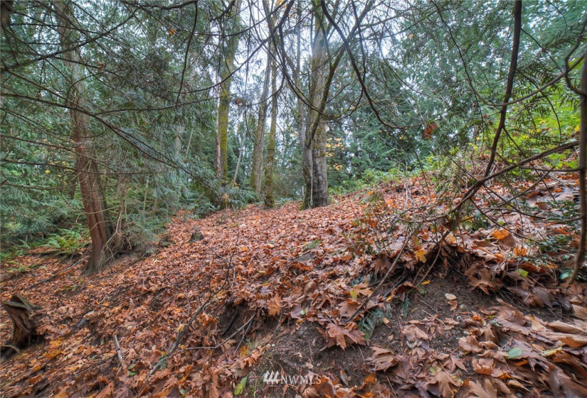 0 Wavecrest, Poulsbo, Washington 98370, ,Land,For Sale,Wavecrest,NWM1863954