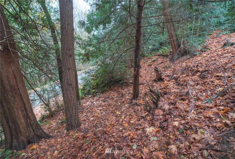 0 Wavecrest, Poulsbo, Washington 98370, ,Land,For Sale,Wavecrest,NWM1863954