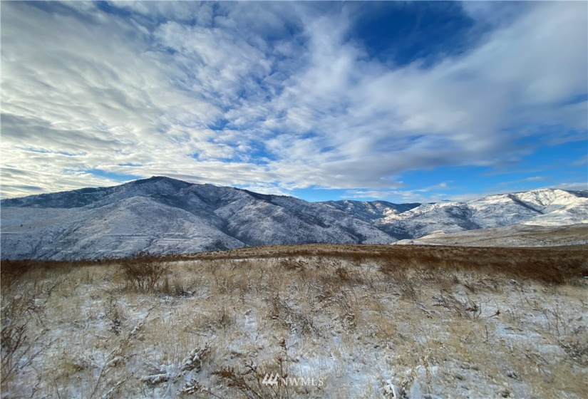 3 XX Buckhorn Mountain Road, Pateros, Washington 98846, ,Land,For Sale,Buckhorn Mountain Road,NWM1866753