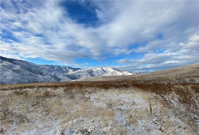3 XX Buckhorn Mountain Road, Pateros, Washington 98846, ,Land,For Sale,Buckhorn Mountain Road,NWM1866753