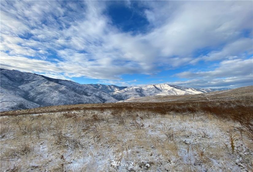 3 XX Buckhorn Mountain Road, Pateros, Washington 98846, ,Land,For Sale,Buckhorn Mountain Road,NWM1866753
