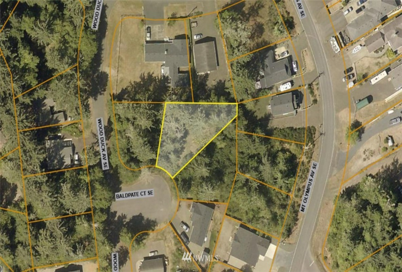 706 Baldpate, Ocean Shores, Washington 98569, ,Land,For Sale,DIV 14,Baldpate,NWM1866355