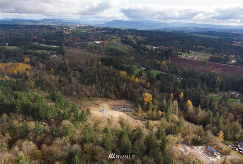 0 316th, La Center, Washington 98629, ,Land,For Sale,316th,NWM1866224