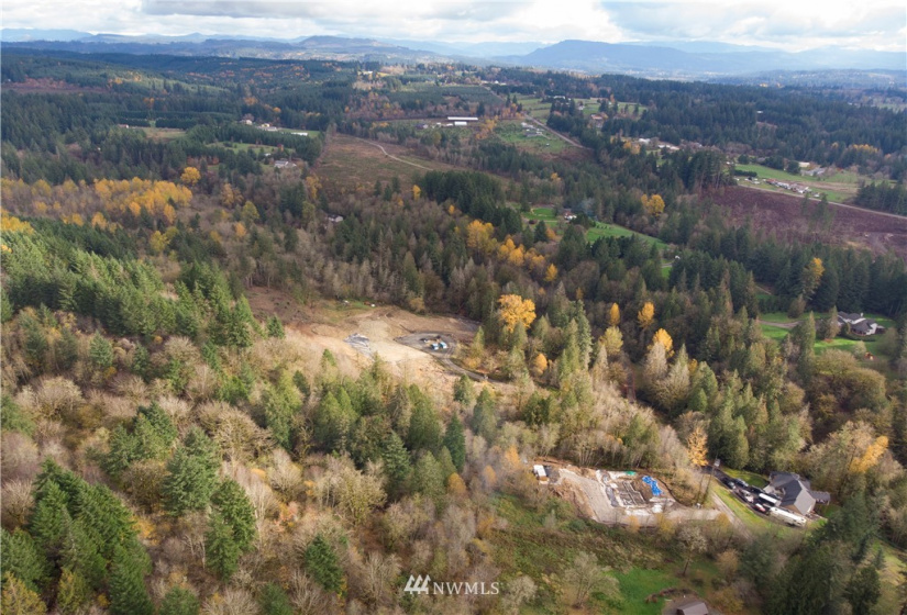 0 316th, La Center, Washington 98629, ,Land,For Sale,316th,NWM1866224