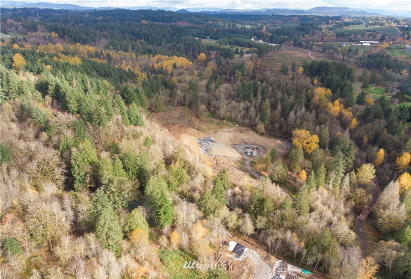0 316th, La Center, Washington 98629, ,Land,For Sale,316th,NWM1866224