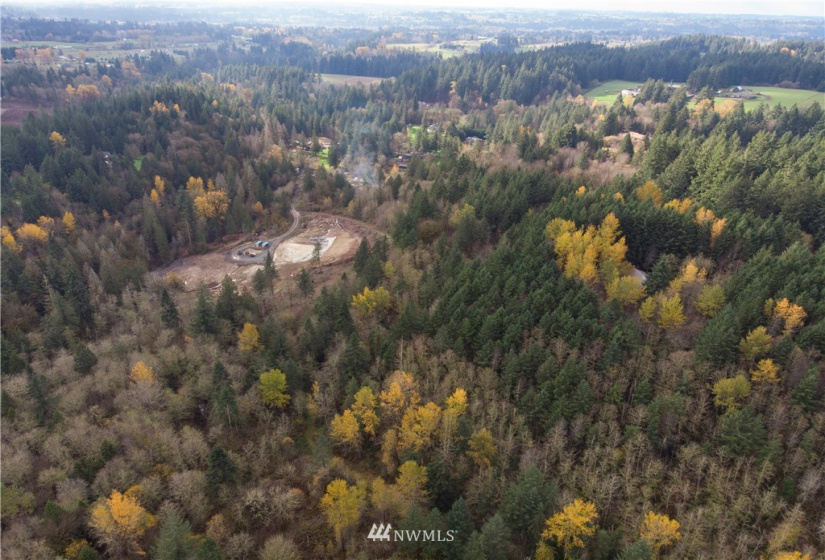 0 316th, La Center, Washington 98629, ,Land,For Sale,316th,NWM1866224