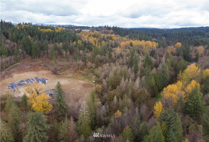 0 316th, La Center, Washington 98629, ,Land,For Sale,316th,NWM1866224