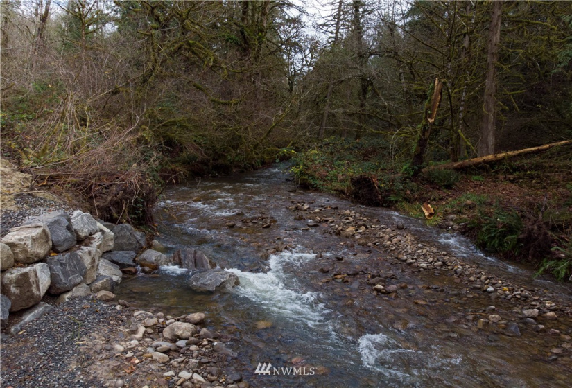0 316th, La Center, Washington 98629, ,Land,For Sale,316th,NWM1866224