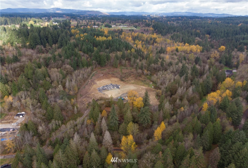 0 316th, La Center, Washington 98629, ,Land,For Sale,316th,NWM1866223